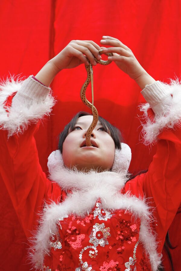 دختر چینی بخشی از بدن مار را در یک نمایش می بلعد. - اسپوتنیک ایران  