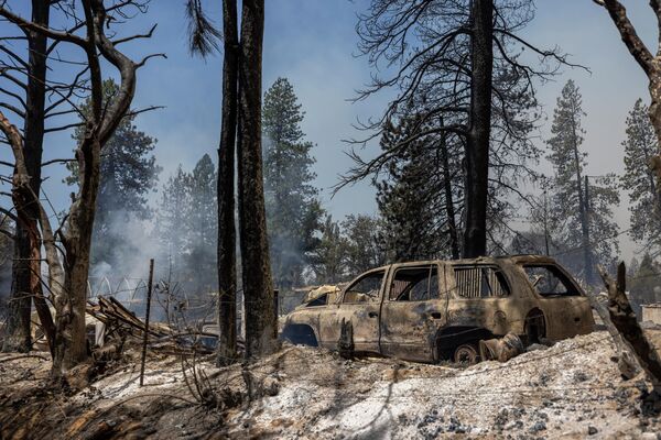 اموال ویران شده در 23 ژوئیه 2022 بر اثر آتش سوزی و سوختن درختان بلوط در جنگلی در نزدیکی Midpines، شمال شرقی Mariposa، کالیفرنیا.  - اسپوتنیک ایران  