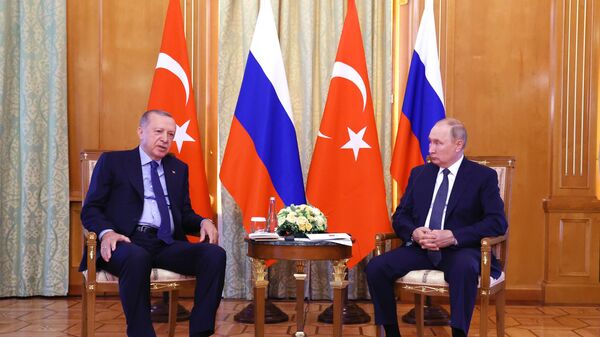 ولادیمیر پوتین، رئیس‌جمهور روسیه و رجب طیب اردوغان، رئیس‌جمهور ترکیه در سوچی دیدار کردند - اسپوتنیک ایران  