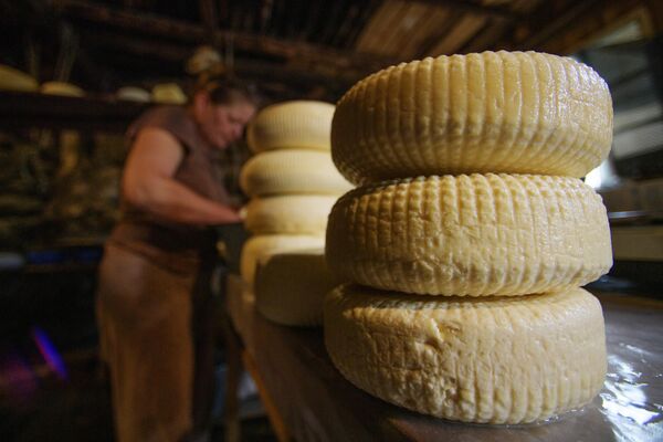 تولیدکننده پنیر لاریسا کاساوا از روستای کوهستانی دورافتاده دونتا در کوه های اوستیای شمالی در حال تولید پنیر. - اسپوتنیک ایران  
