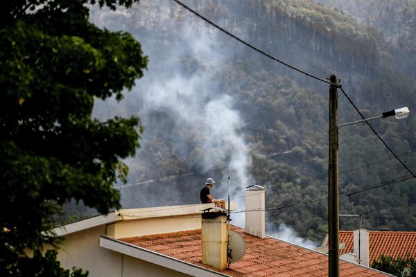 مردی در حال تماشای پیشروی آتش سوزی جنگلی در روستای سامیرو در نزدیکی شهر مانتیگاس پرتغال. - اسپوتنیک ایران  