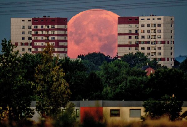 ماه کامل پشت ساختمانهای مسکونی در حومه فرانکفورت غروب می کند. - اسپوتنیک ایران  