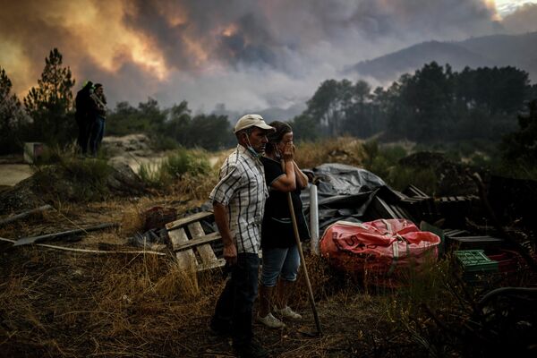 آتش سوزی گسترده جنگلی در پرتغال. - اسپوتنیک ایران  