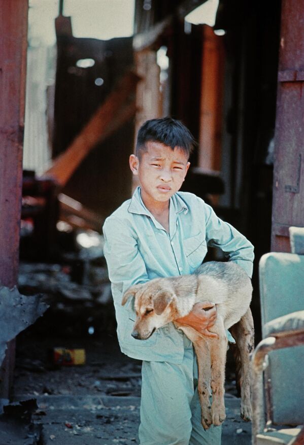 پسری که سگش را در زمان جنگ ویتنام در بغل گرفته است - اسپوتنیک ایران  