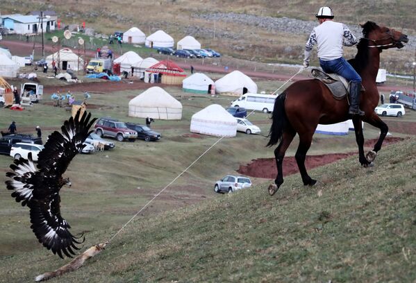 مسابقات شکار و اسب سواری در قرقیزستان - اسپوتنیک ایران  