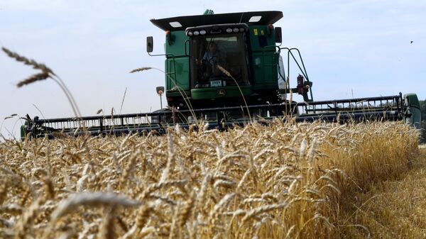 روسیه و ایران چندین قرارداد در زمینه کشاورزی امضا کردند - اسپوتنیک ایران  