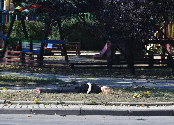 جسد یک زن در نتیجه گلوله باران بخش مرکزی شهر دونتسک توسط نیروهای مسلح اوکراین - اسپوتنیک ایران  