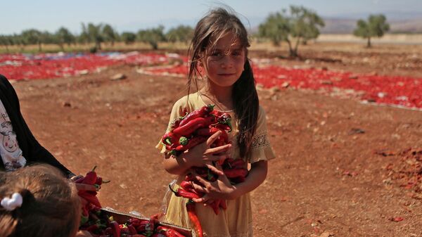 دختری در 19 سپتامبر 2022 در شهر محمبل در حومه جنوبی استان ادلب در شمال غربی سوریه که تحت کنترل شورشیان است، فلفل چیلی برداشت شده را خشک می کند - اسپوتنیک ایران  