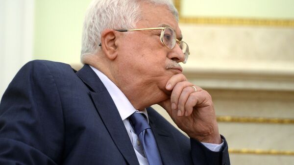 محمد عباس رئیس جمهور فلسطین - اسپوتنیک ایران  