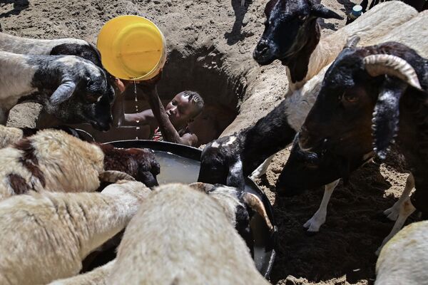 سومالی با کمبود آب مواجه شده است  - اسپوتنیک ایران  