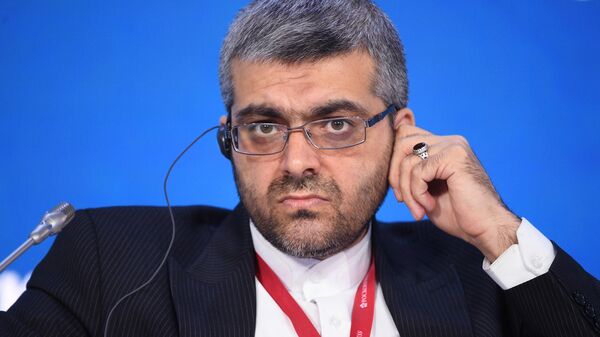احمد اسدزاده، معاون امور بین‌الملل و بازرگانی وزیر نفت - اسپوتنیک ایران  