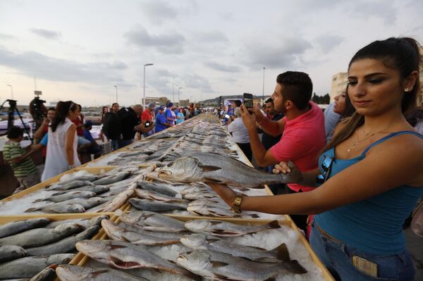 آشپزان در حال آماده سازی بزرگترین ماهی جهان - اسپوتنیک ایران  