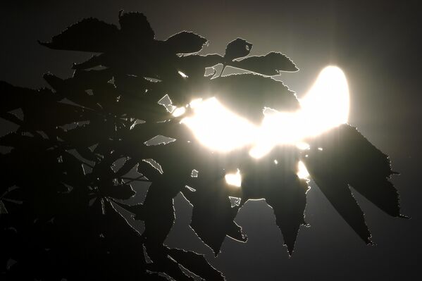 خورشید گرفتگی جزئی در مسکو مشاهده شد. - اسپوتنیک ایران  