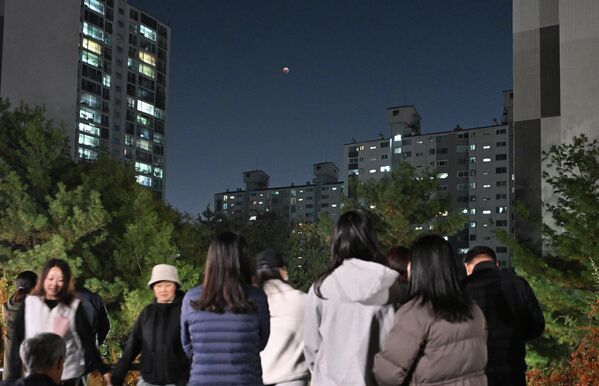 مردم در حال تماشای ماه گرفتگی کامل در گویانگ، شمال غربی سئول، در 8 نوامبر 2022 - اسپوتنیک ایران  