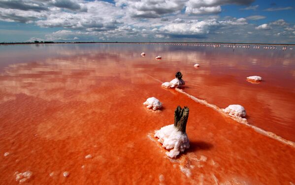 دریاچه  سیواش در یوپاتوریا، کریمه، روسیه - اسپوتنیک ایران  