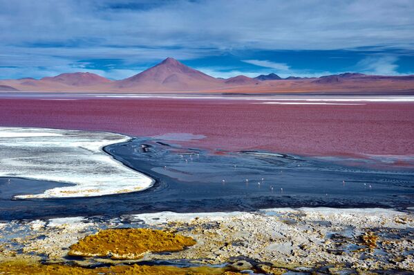 دریاچه لاگونا کولورادا، بولیوی - اسپوتنیک ایران  