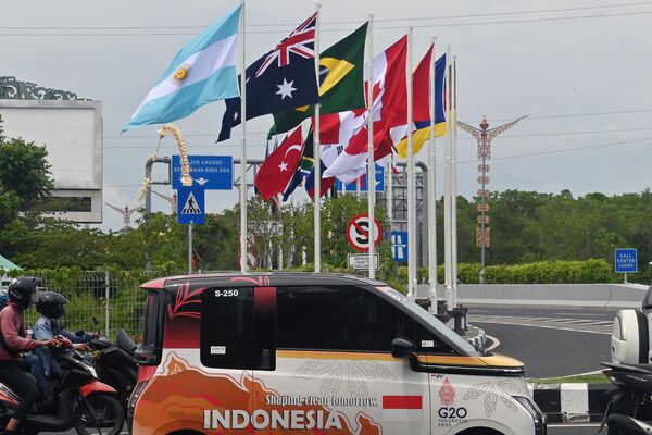 پرچم کشورهای عضو گروه «جی 20» در بالی اندونزی. - اسپوتنیک ایران  
