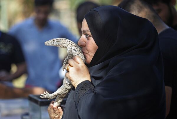 بوسه بر سوسمار در باغ وحش الزورا در بغداد. - اسپوتنیک ایران  