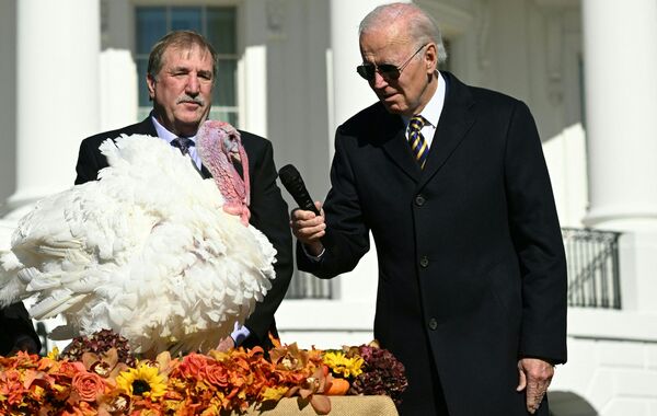 جو بایدن رئیس جمهور آمریکا به مناسبت روز شکرگزاری، بوقلمون های شکلات و چیپ را عفو کرد. - اسپوتنیک ایران  