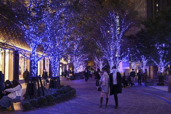 تردد مردم در کنار درختان نورانی شده در خیابانی در مرکز توکیو ژاپن18 نوامبر 2022 - اسپوتنیک ایران  