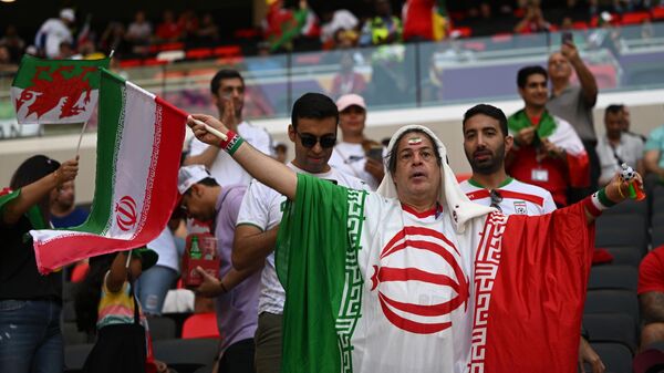 Болельщик Ирана перед началом матча группового этапа чемпионата мира по футболу между сборными Уэльса и Ирана - اسپوتنیک ایران  