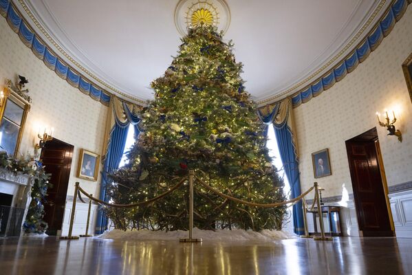 درخت کریسمس رسمی کاخ سفید در اتاق آبی در طول پیش نمایش رسانه ای برای تعطیلات 2022 در کاخ سفید در واشنگتن دی سی، 28 نوامبر 2022. - ما مردم موضوع فصل تعطیلات کاخ سفید 2022 است. - اسپوتنیک ایران  