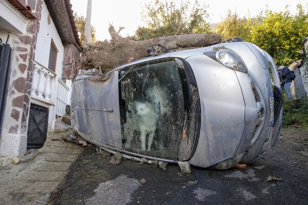 سگی که حدود 72 ساعت در خودروی صاحبش به دلیلی رانش زمین گیر افتاده بود، در جزیره جنوبی ایسکیا ایتالیا، دوشنبه، 28 نوامبر 2022 - اسپوتنیک ایران  