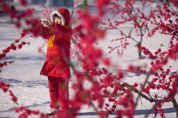 یک دختر در حالی که در برف در نمایشگاه معبد لانگتان در پکن در 24 ژانویه 2012 ایستاده است، عکس می گیرد. چین به استقبال سال اژدها می رود، نمادی که به ویژه به عنوان نمادی بسیار فرخنده در نظر گرفته می شود زیرا تنها موجود افسانه ای در بین این دوجین حیوان است. که هر سال را در چرخه کیهانی چین نشان می دهد. - اسپوتنیک ایران  