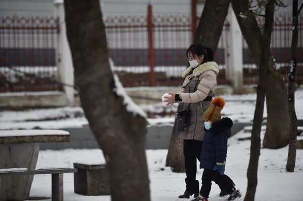 غابران در حال قدم زدن پس از نخستین برف زمستانی در پیونگ یانگ3 دسامبر 2022 - اسپوتنیک ایران  