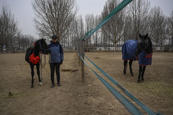 ژوان ژوانگ، اولین اسب شبیه سازی شده  در شرکت چینی  &quot;سینا ژن&quot; است.  - اسپوتنیک ایران  