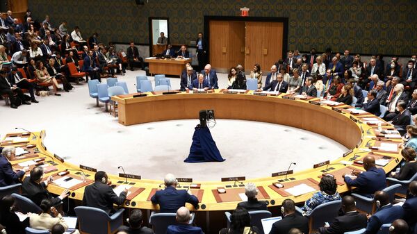Министр иностранных дел РФ Сергей Лавров выступает на заседании Совета Безопасности ООН в Нью-Йорке - اسپوتنیک ایران  
