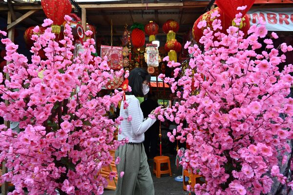 بازار سال نو در جاکارتای اندونزی. شاخه های پر از شکوفه میوه هلو سمبل شکوفایی و عشق می باشند. - اسپوتنیک ایران  