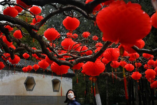چراغ های قرمز روی درختان به افتخار جشن پیش روی سال نو در پارکی در پکن پایتخت چین. - اسپوتنیک ایران  