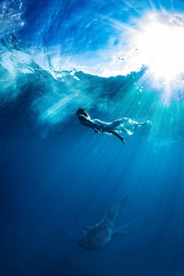  نامزدی نیکلاس تیک یا جلسه قبل از روز عروسی استرالیا. - اسپوتنیک ایران  