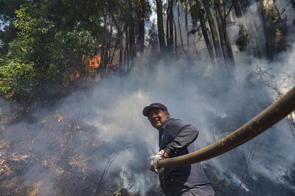 یک مرد داوطلب در حال خاموش کردن آتش در ال پاتاگوال، شیلی.    چهار آتش سوزی بزرگ در بخش جنوب مرکزی کشور رخ داده است   و بیش از7000 نفربی خانمان شدند. - اسپوتنیک ایران  