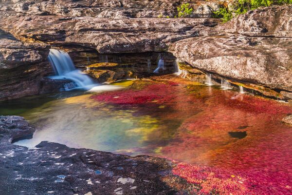 کانو کریستالس در کلمبیا به عنوان زیباترین رودخانه جهان شناخته می شود. این رودخانه که به عنوان رودخانه رنگین کمان نیز شناخته می شود، دارای برخی صخره های معمولی در منطقه کوهستانی شرق کلمبیا است.به همین ترتیب گیاهان آن دارای 5 رنگ زرد، صورتی، سبز، قرمز و بنفش هستند. اکنون یکی از شگفتی های طبیعی سیاره زمین به حساب می آید.  - اسپوتنیک ایران  