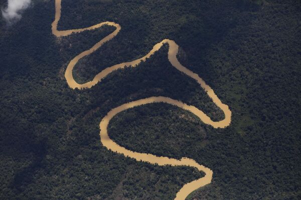 رودخانه موکاجای درمنطقه بومی یانومامی در ایالت رورایما، برزیل - اسپوتنیک ایران  