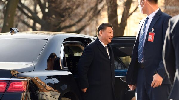 Председатель Китайской Народной Республики Си Цзиньпин перед встречей с президентом РФ Владимиром Путиным - اسپوتنیک ایران  