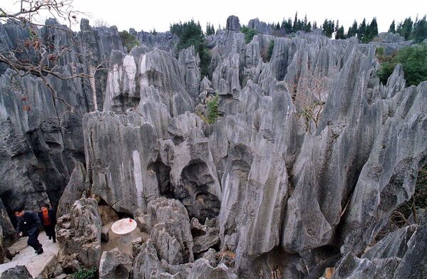  شیلین ( جنگل سنگی) 79 مایلی از کونمینگ، استان یوننان، چین. جنگل سنگی 200 هکتاری یک پدیده زمین‌شناسی منحصربه‌فرد از ستون‌های آهکی کارست شبیه جنگل است. این یکی از معروف ترین نقاط دیدنی چین است.  - اسپوتنیک ایران  