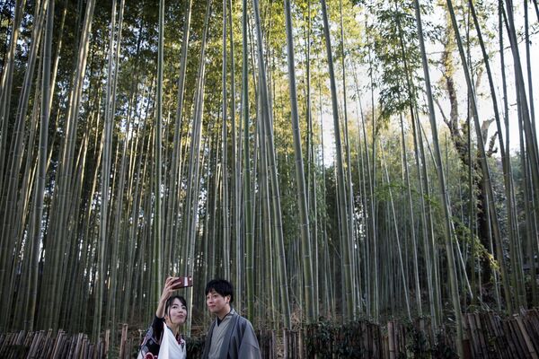  جنگل بامبو ساگانو در آراشیاما، استان کیوتو  - اسپوتنیک ایران  