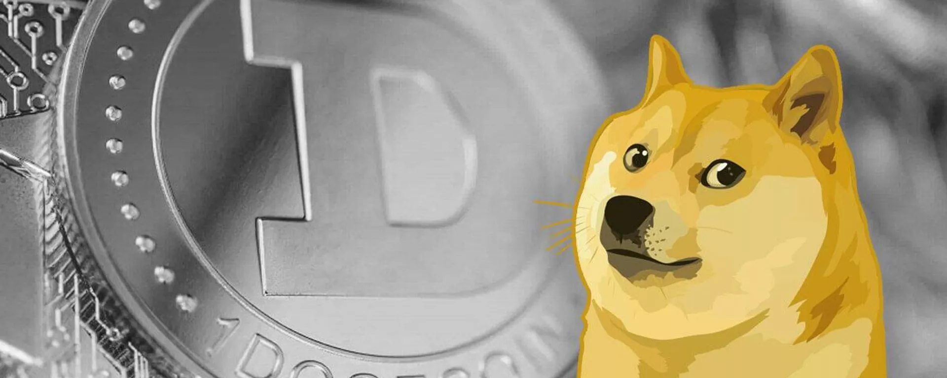 Dogecoin - اسپوتنیک ایران  , 1920, 03.04.2023
