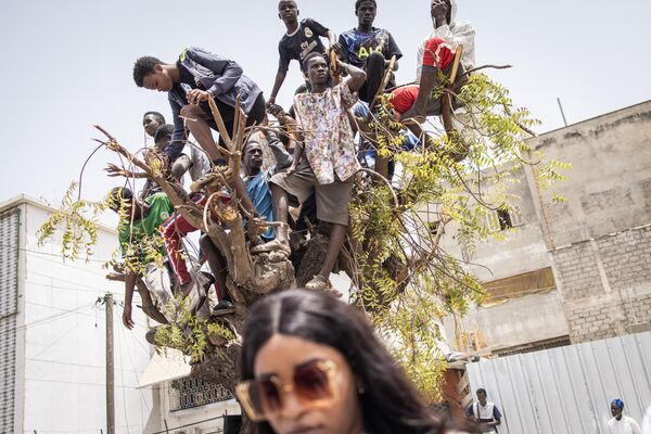 مردان جوان برای مشاهده بهتر جشن‌های شصت و سومین روز استقلال سنگال در داکار در 04 آوریل 2023 بر بالای درخت می‌ایستند. - اسپوتنیک ایران  