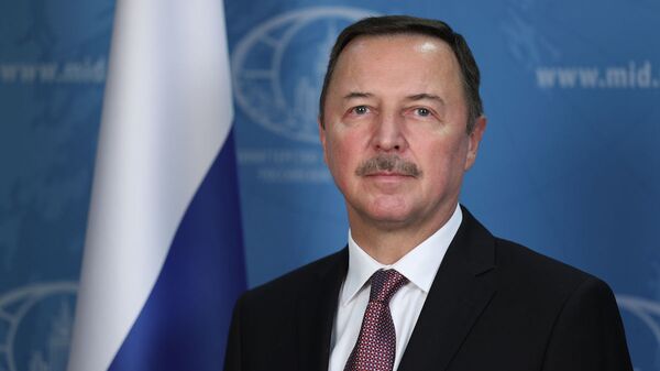 Посол России в Дамаске Александр Ефимов - اسپوتنیک ایران  