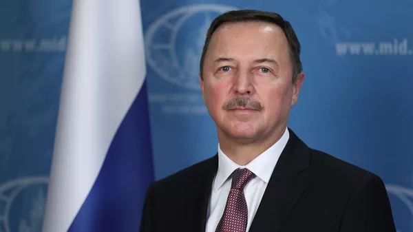 Посол России в Дамаске Александр Ефимов - اسپوتنیک ایران  