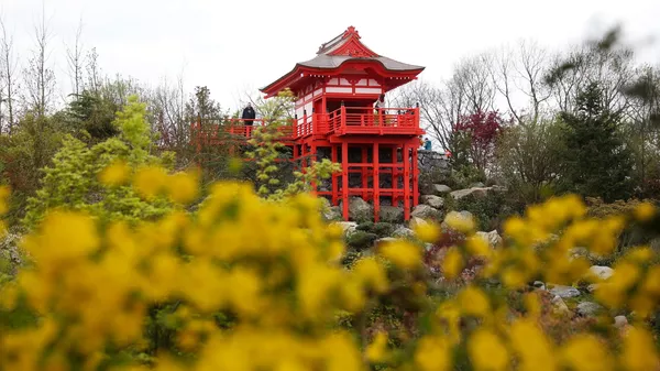 افتتاح بوستان ژاپنی در شهر کراسنودار روسیه  - اسپوتنیک ایران  
