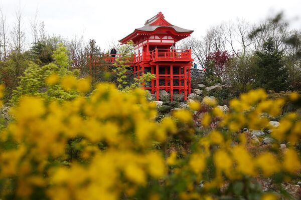 اافتتاح بوستان ژاپنی در شهر کراسنودار روسیه - اسپوتنیک ایران  