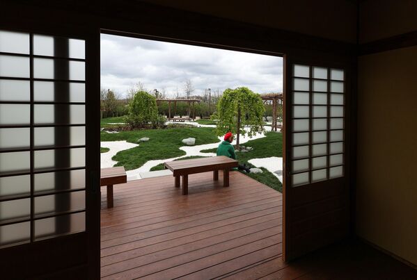 افتتاح بوستان ژاپنی در شهر کراسنودار روسیه - اسپوتنیک ایران  