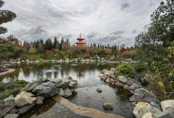 باغ آینه Kagemiike در باغ ژاپنی در کراسنودار. - اسپوتنیک ایران  