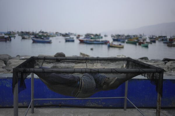 یک ماهیگیر در توری می خوابد که برای فیلتر کردن آب از ماهی در حال شستن استفاده می شود،  بندر آنکون، پرو، اوایل سه شنبه، 11 آوریل 2023. - اسپوتنیک ایران  