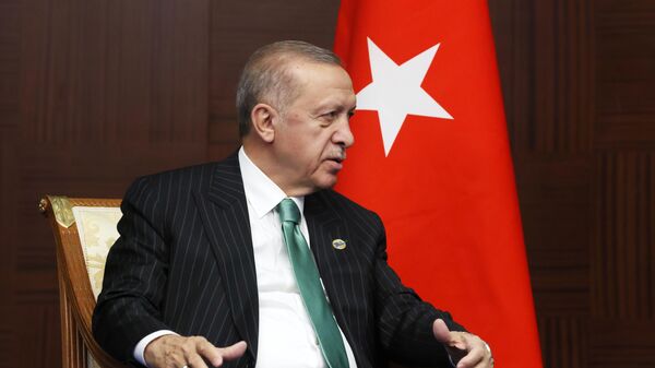 Президент Турции Реджеп Тайип Эрдоган во время беседы с президентом РФ Владимиром Путиным на полях VI саммита Совещания по взаимодействию и мерам доверия в Азии в Астане - اسپوتنیک ایران  
